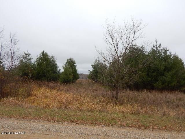 XXX 190th St, Long Prairie, MN 56347