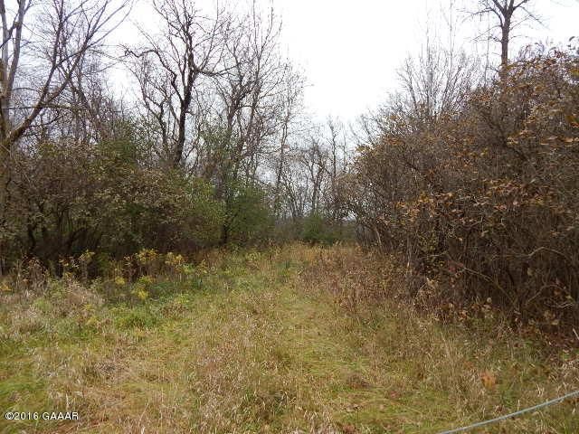 XXX 190th St, Long Prairie, MN 56347