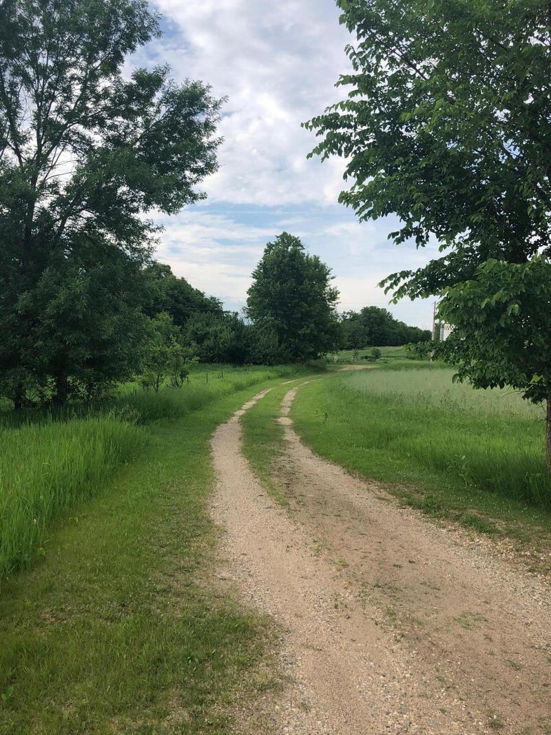 63537 County Hwy 46, Eagle Bend, MN 56446
