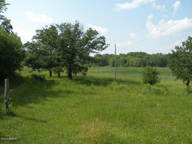 44756 Co Hwy 38, Vining, MN 56588