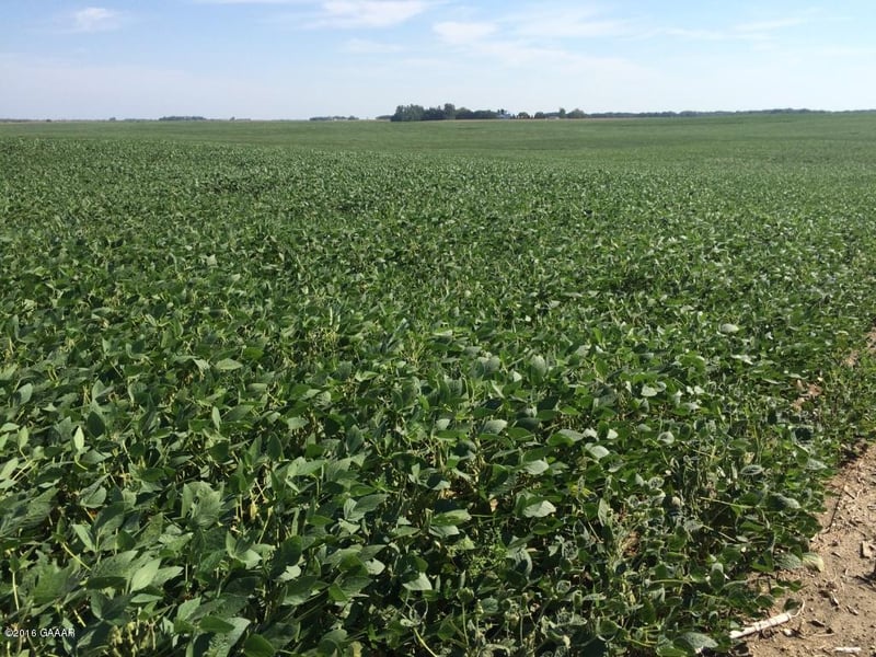 W Cemetery Rd SE, Villard, MN 56385