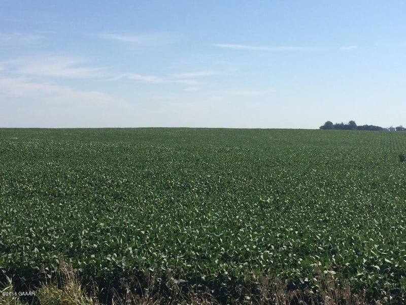 W Cemetery Rd SE, Villard, MN 56385
