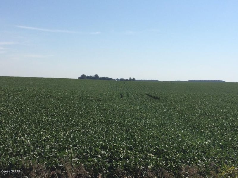W Cemetery Rd SE, Villard, MN 56385