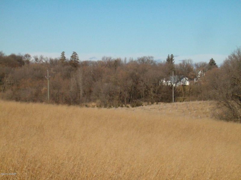 407 E 1st St, Cyrus, MN 56323