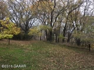 1208 N Mckay Ave, Alexandria, MN 56308