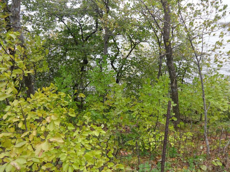1015 S Darling Dr NW, Alexandria, MN 56308