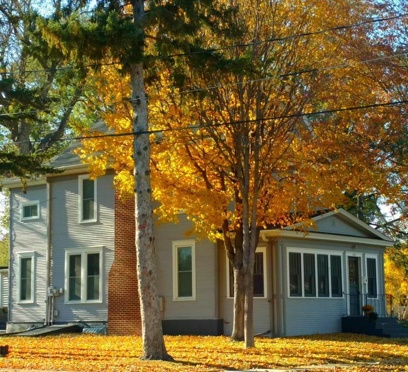 1007 Idaho Ave, Morris, MN 56267