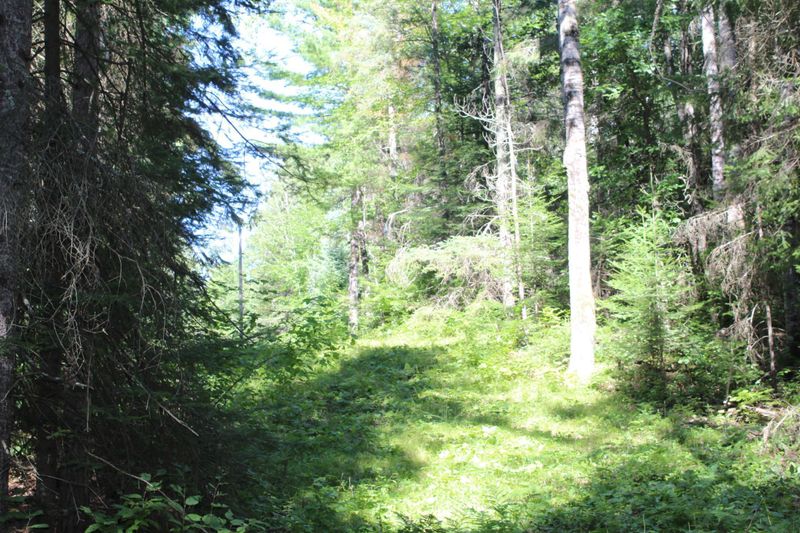 TBD2 Far Portage Dr, Park Rapids, MN 56470