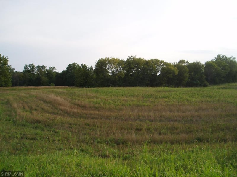 XXX 211th Ln, Henderson, MN 56044