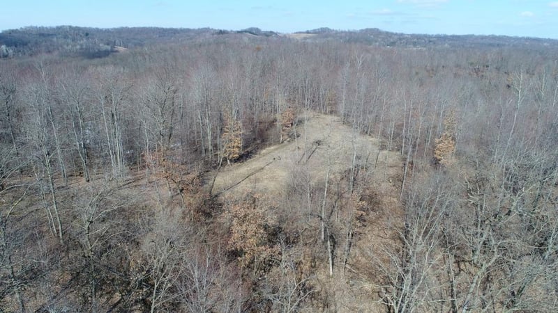 S15135 Dutter Rd, Eleva, WI 54738