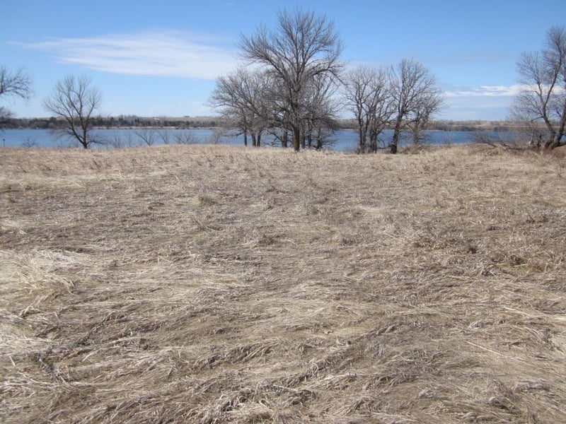 X Waterfront Dr, Browns Valley, MN 56219