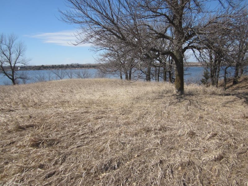 X Waterfront Dr, Browns Valley, MN 56219