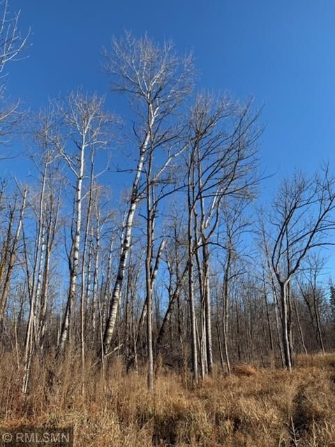 000 County Road 3, Brook Park, MN 55007