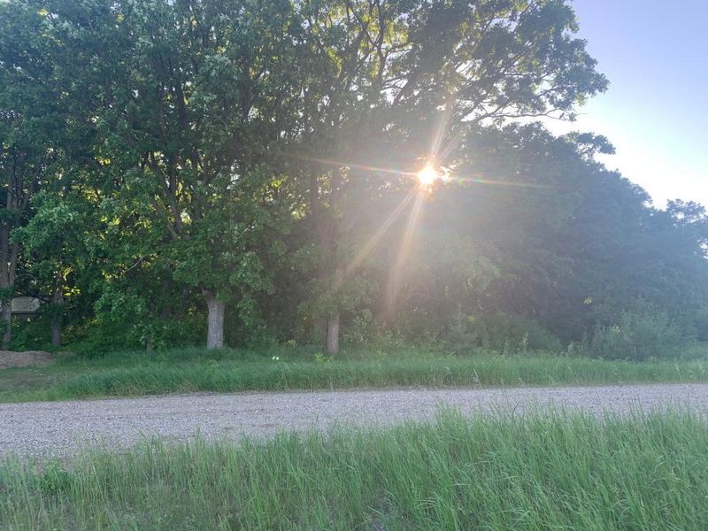 XX 257th Ave, Browerville, MN 56438