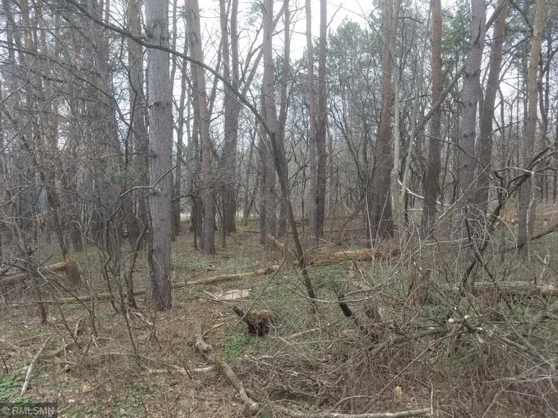 XXX lot 3 Rosabelle St, Marine On Saint Croix, MN 55047
