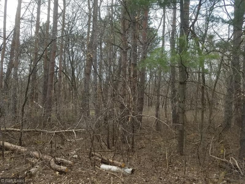 XXX lot 3 Rosabelle St, Marine On Saint Croix, MN 55047