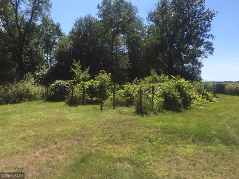 xxx Central Ave S, Brooten, MN 56316
