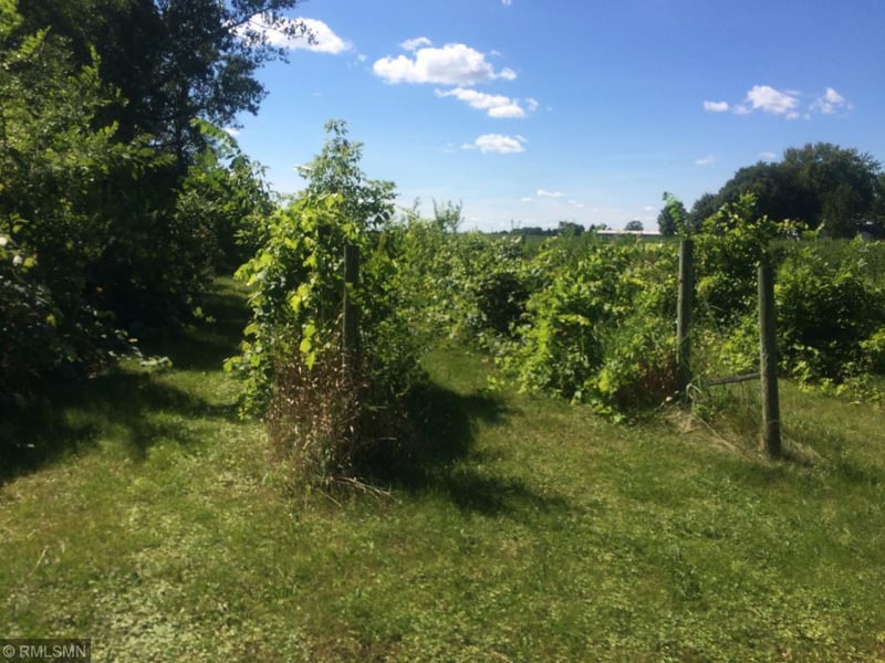 xxx Central Ave S, Brooten, MN 56316