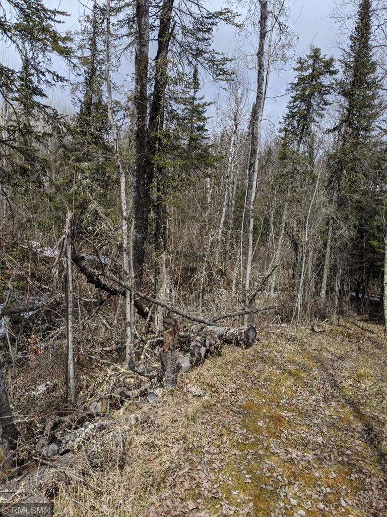 10611 Gust Lahti Rd, Toivola, MN 55765