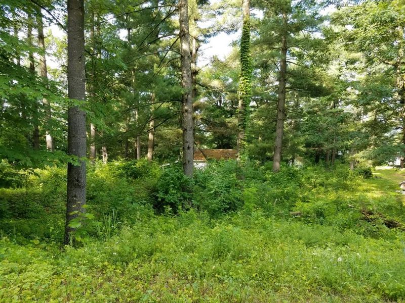 Lot 10 297th St, Eau Galle, WI 54737