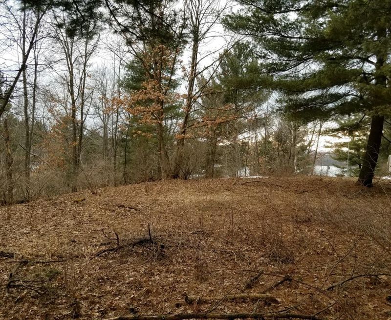 Lot 10 297th St, Eau Galle, WI 54737