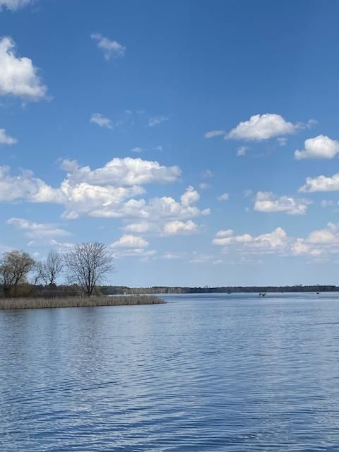 316 Elm Rd NE, East Bethel, MN 55092