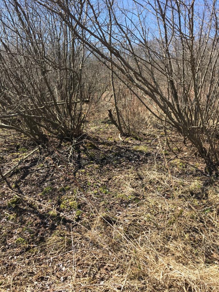 0 Przybilla Ln, Independence, WI 54747