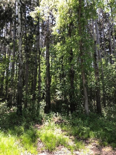 2894 361st Ave NE, Cambridge, MN 55008
