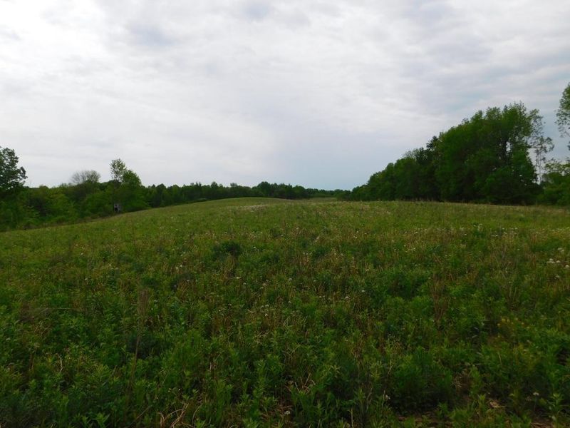 0 920th Ave, Boyceville, WI 54725