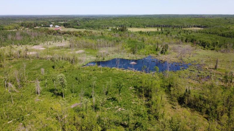 80 ACRES Moose Dr, Laporte, MN 56461