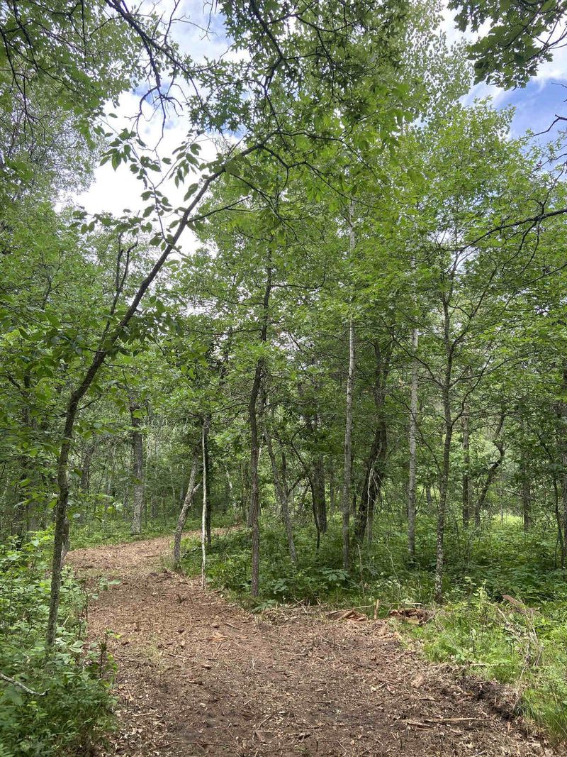 TBD County 17 Rd, Nevis, MN 56467