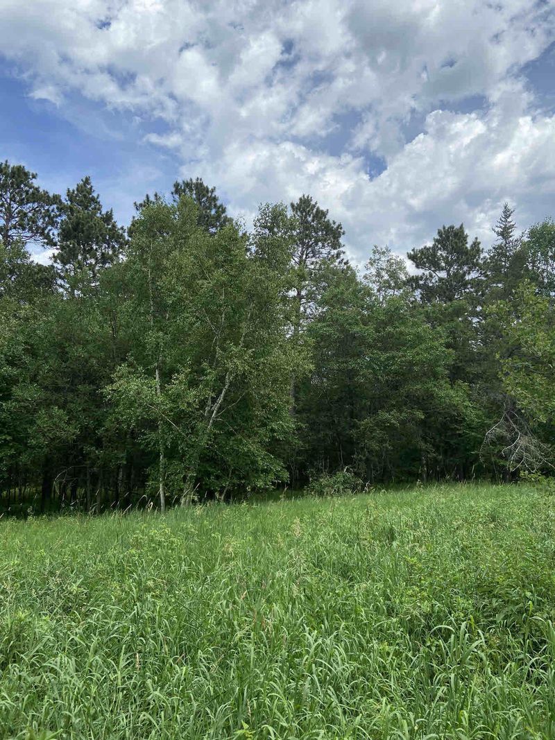 TBD County 17 Rd, Nevis, MN 56467