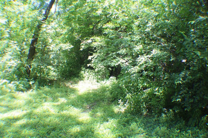 115 15th Ave N, Waite Park, MN 56387