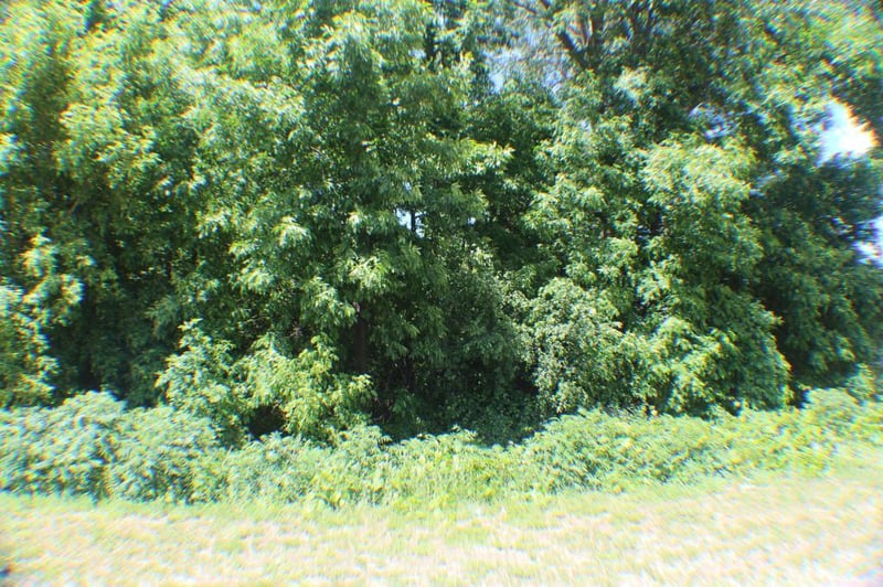 115 15th Ave N, Waite Park, MN 56387