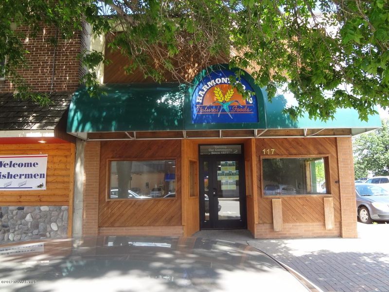117 3rd St NW, Bemidji, MN 56601