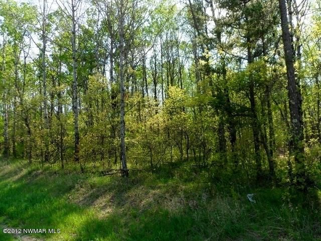 Lot1 Blk3 Co Rd 119 Rd, Nevis, MN 56467