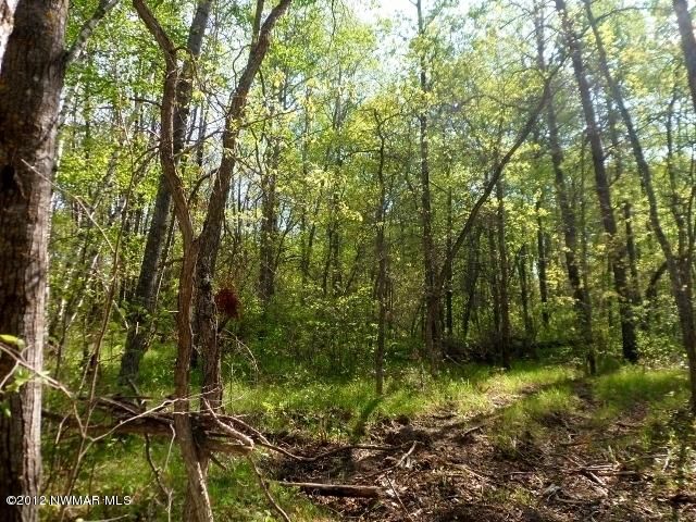 Lot1 Blk3 Co Rd 119 Rd, Nevis, MN 56467