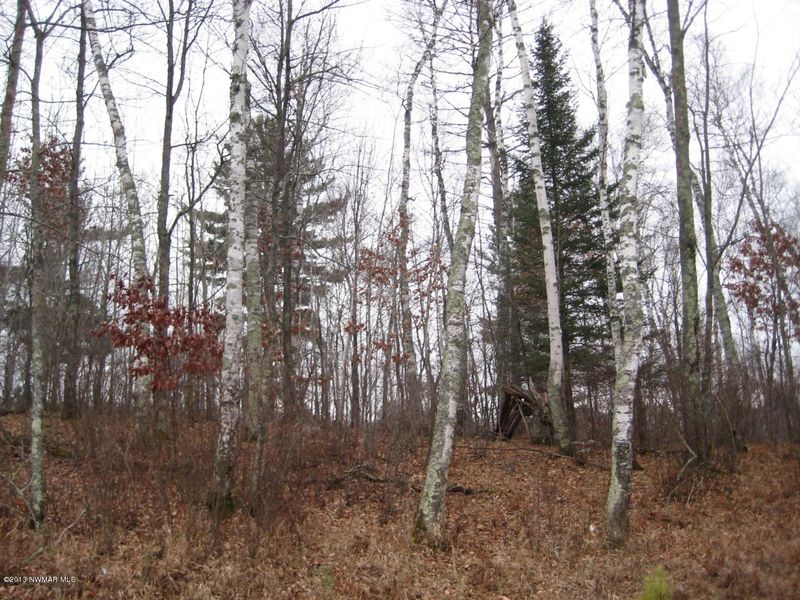 Quiet Majestic Ln NW, Bemidji, MN 56601