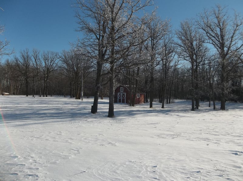 State 219 Hw NE, Goodridge, MN 56725