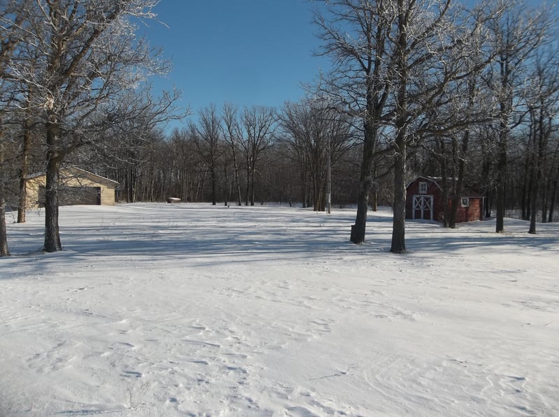 State 219 Hw NE, Goodridge, MN 56725