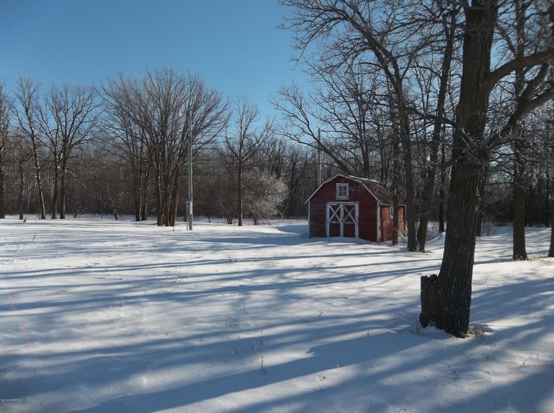 State 219 Hw NE, Goodridge, MN 56725