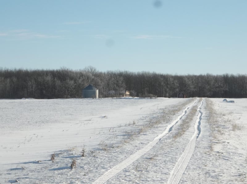 State 219 Hw NE, Goodridge, MN 56725
