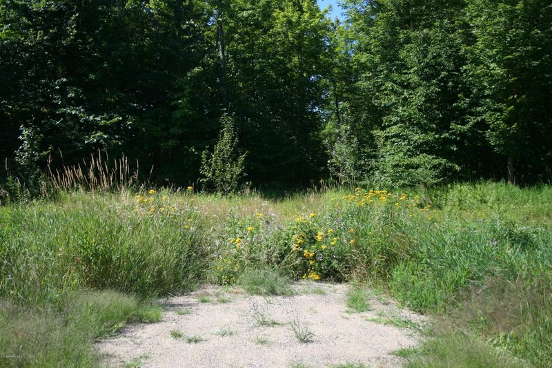 TBD N Blackduck Rd NE, Blackduck, MN 56630