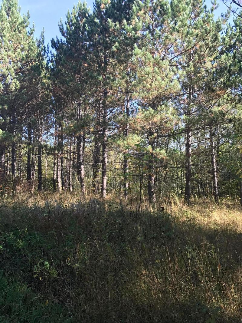 TBD Grange Rd NW, Bemidji, MN 56601