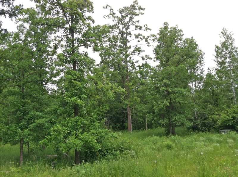 Rea Dr, Laporte, MN 56461