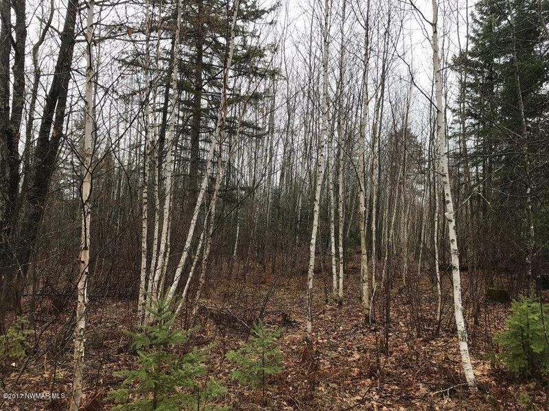 TBD County 5 Rd, Laporte, MN 56461