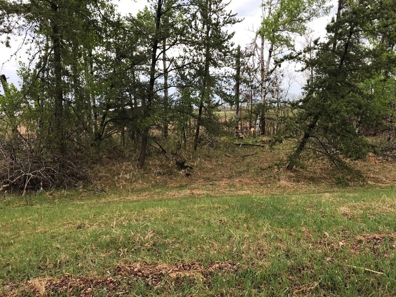 TBD Florence Ln NW, Bemidji, MN 56601