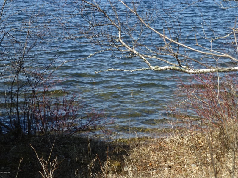 Timberwolf Rd NE, Pennington, MN 56663