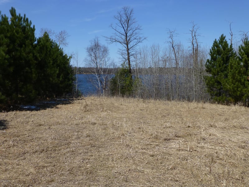 Timberwolf Rd NE, Pennington, MN 56663