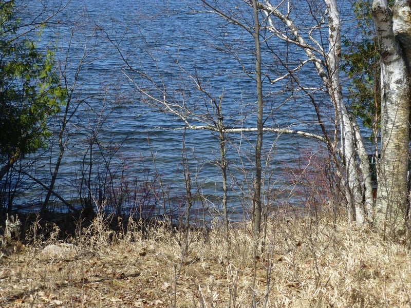 Timberwolf Rd NE, Pennington, MN 56663